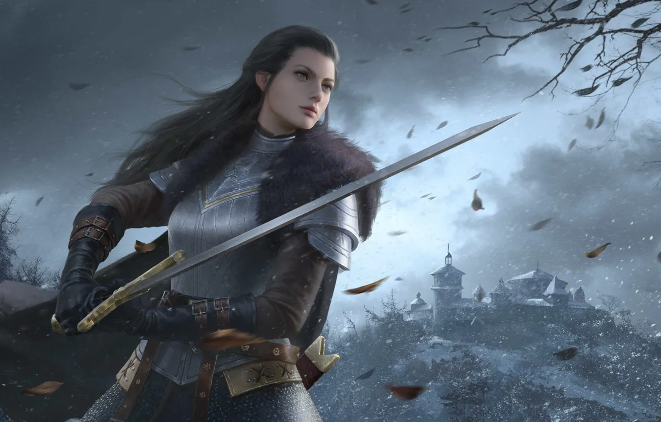 Photo wallpaper look, girl, weapons, the wind, sword, armor