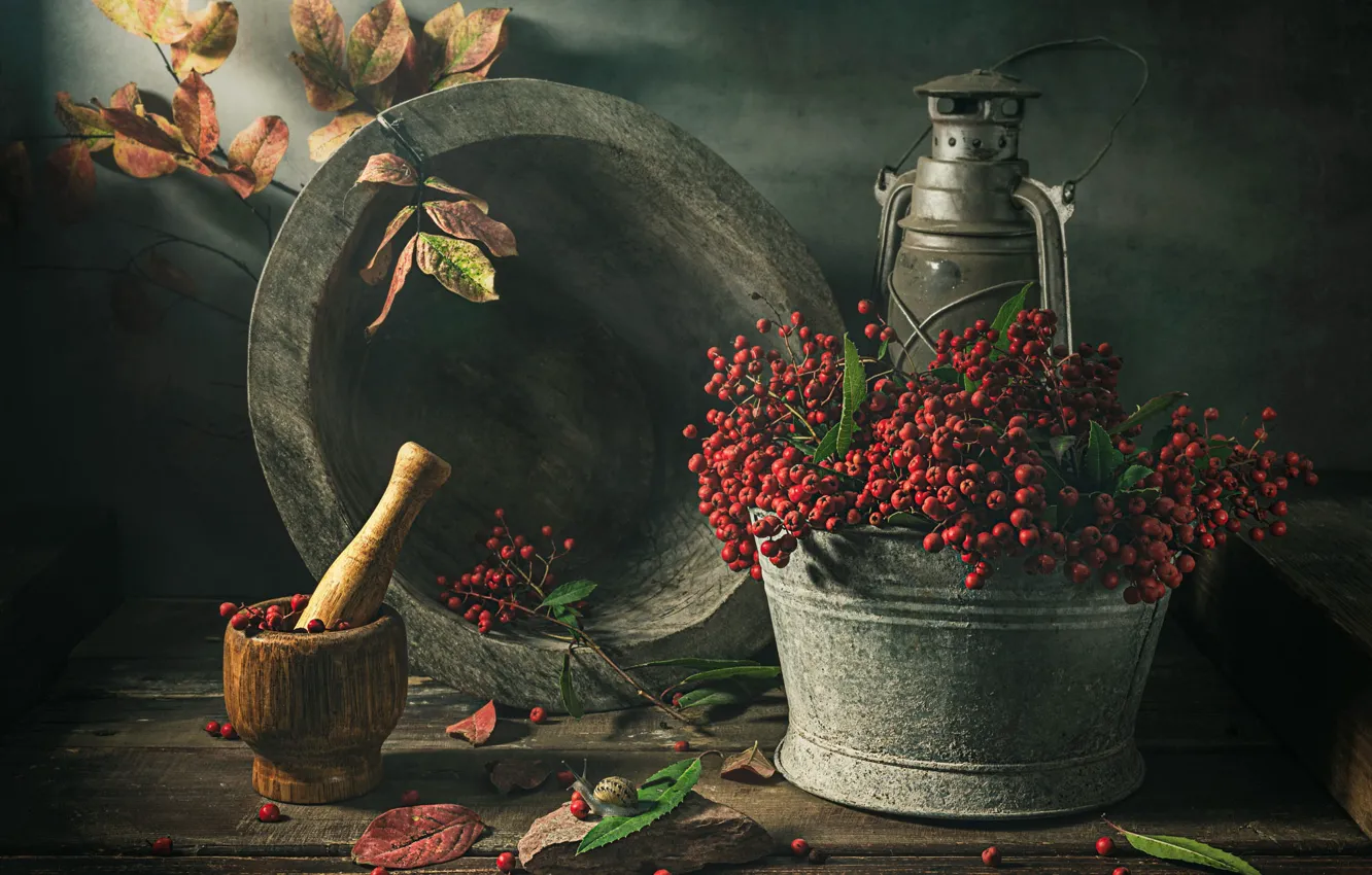 Photo wallpaper lights, dishes, bouquet, wall, mortar, bucket, basin, leaves