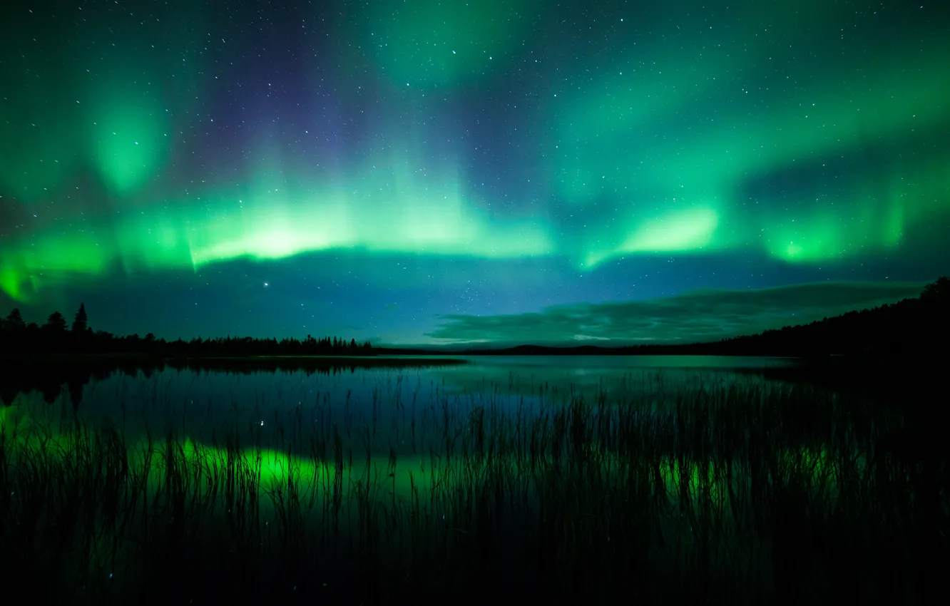 Photo wallpaper grass, night, lake, North, polar lights