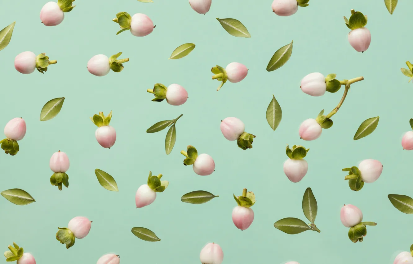Photo wallpaper berries, texture, fruit, pattern, the snowberry, patterns, the fruits of the snowberry