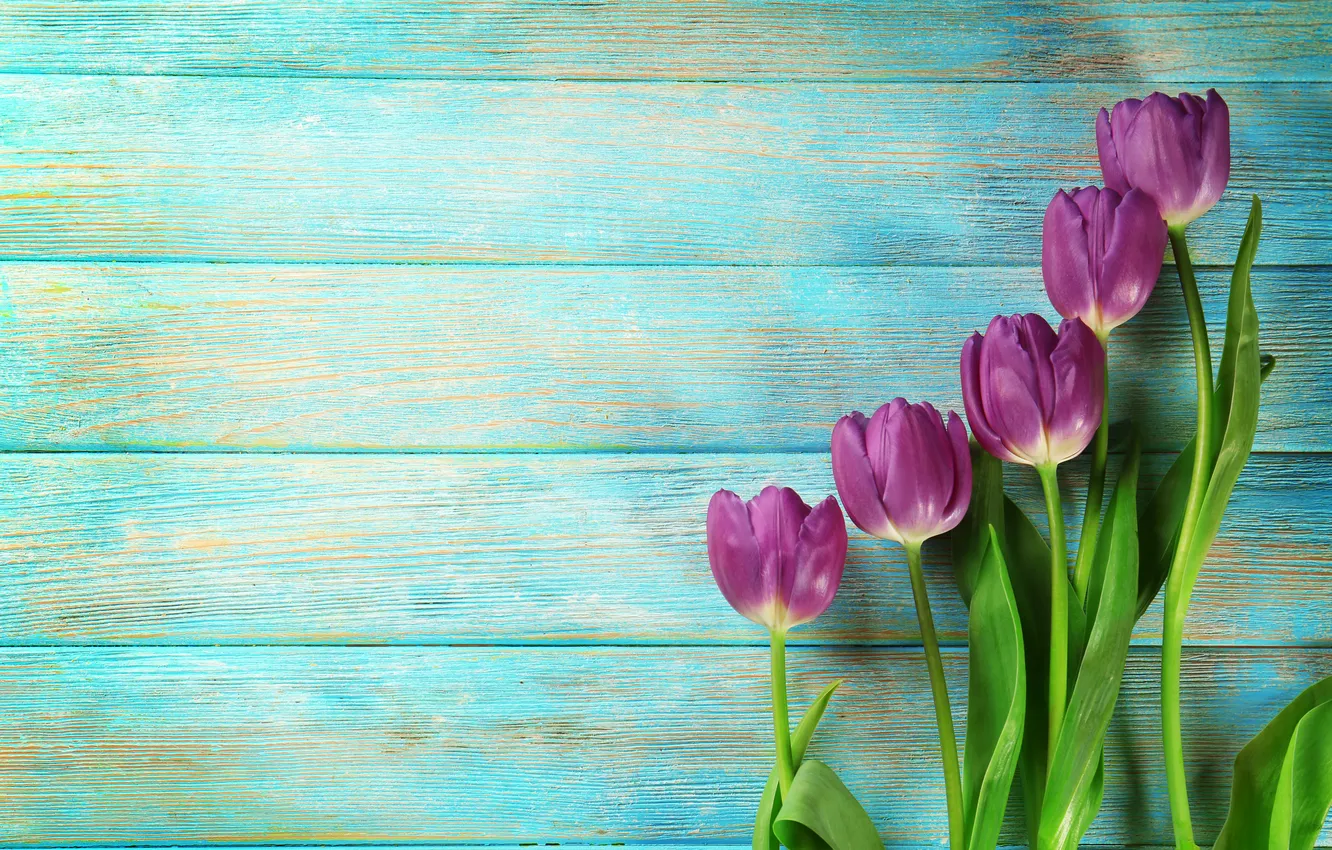 Wallpaper flowers, bouquet, tulips, wood, flowers, tulips, spring ...