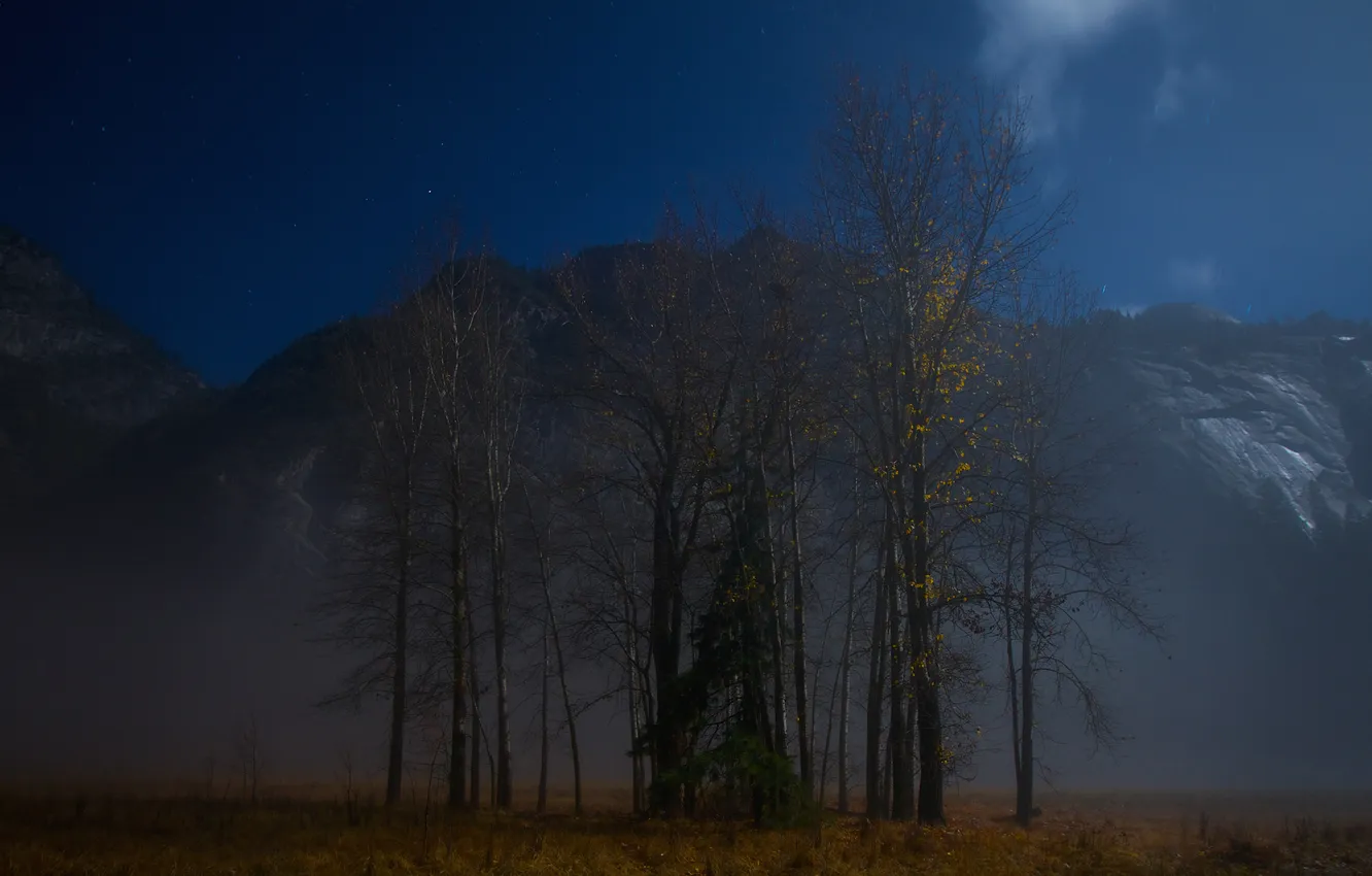 Photo wallpaper the sky, stars, trees, mountains, night, fog