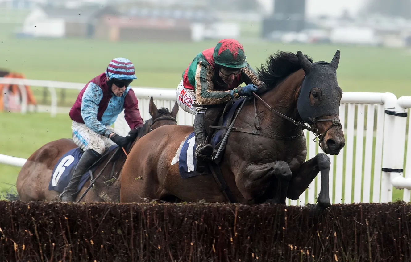 Photo wallpaper Horse, Yorkshire, Races, Jockey, Jumps