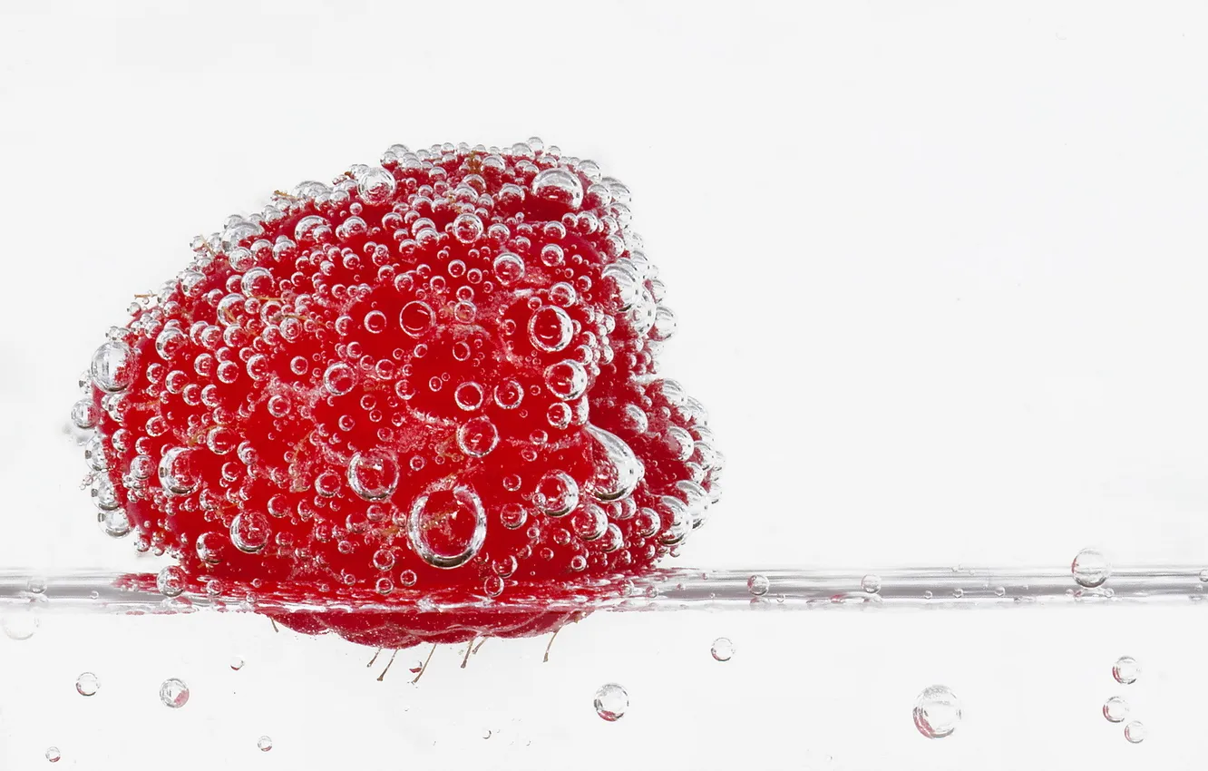 Photo wallpaper water, macro, berries