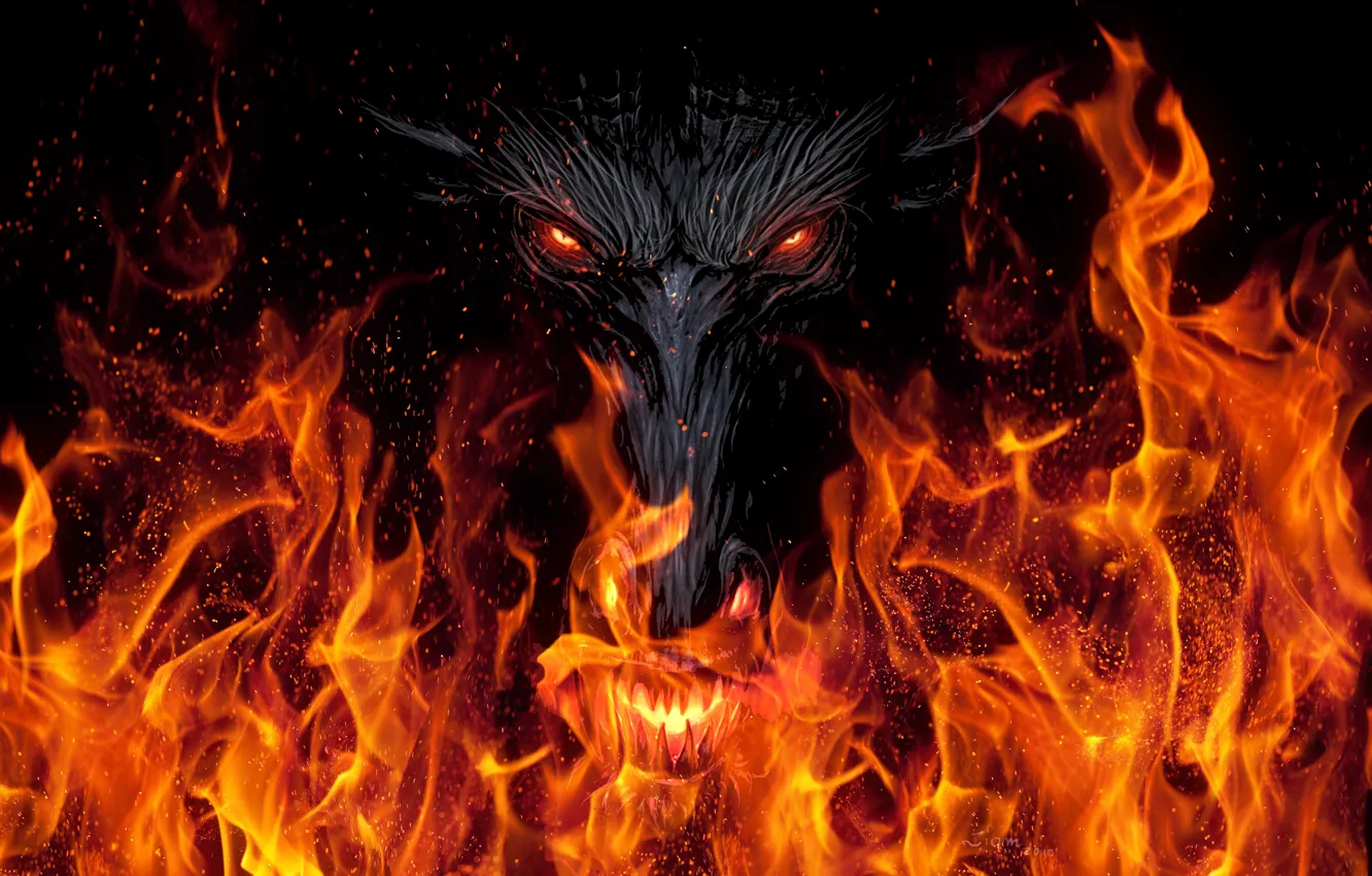 Photo wallpaper look, background, fiction, fire, black, dragon, art, mouth