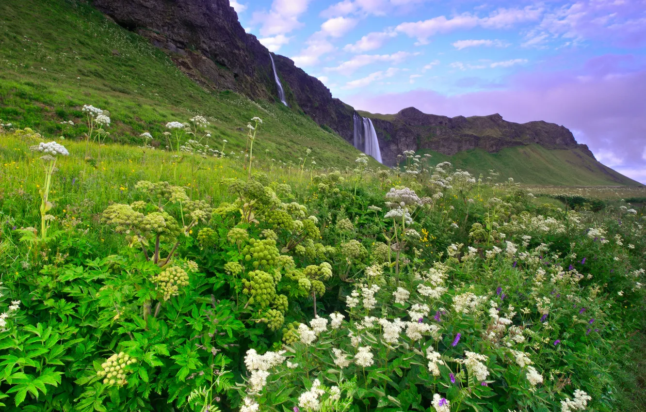Photo wallpaper greens, the sky, grass, clouds, flowers, mountains, hills, blue