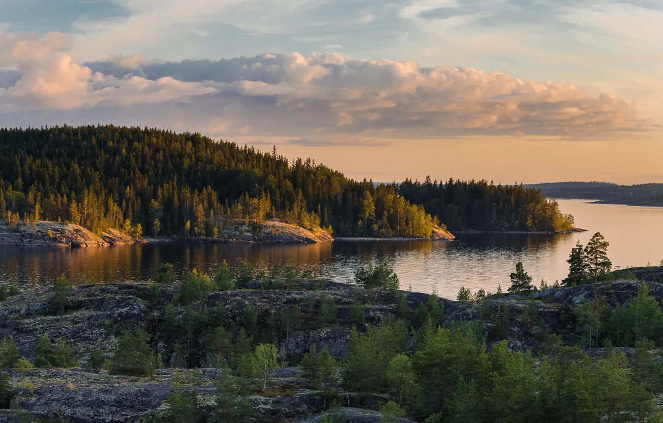 Photo wallpaper forest, landscape, nature, lake, stones, Lake Ladoga, Karelia, Ladoga