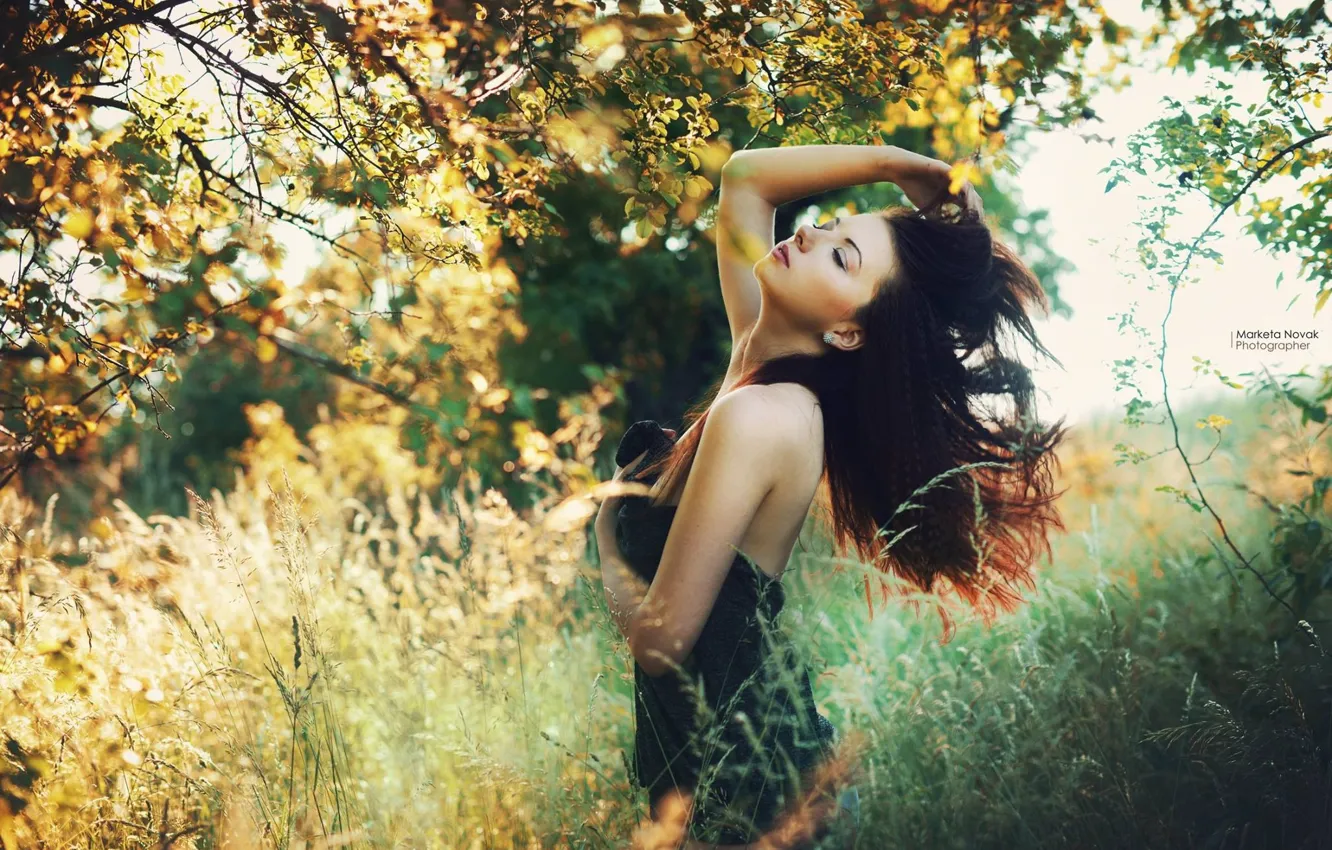 Photo wallpaper girl, light, nature, pose, model, garden, brunette, beautiful