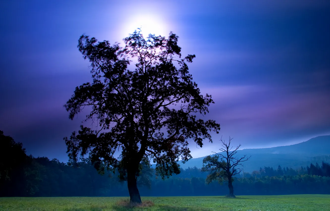 Photo wallpaper the sky, mountains, night, tree, the moon, silhouette, moon, Nature
