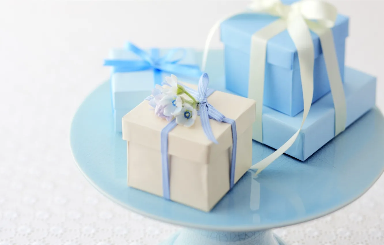 Photo wallpaper white, flowers, tape, blue, gifts, box