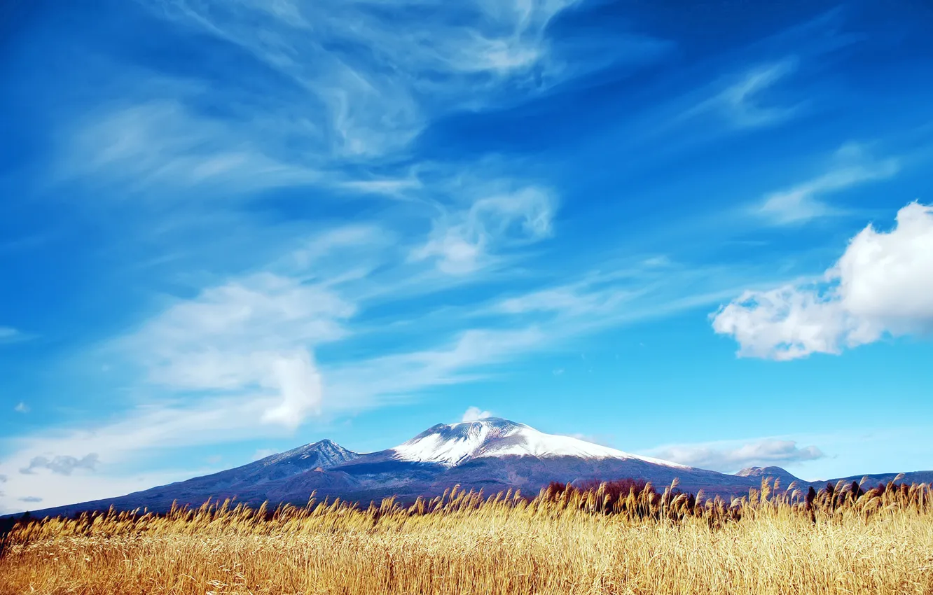 Photo wallpaper the sky, mountains, Field