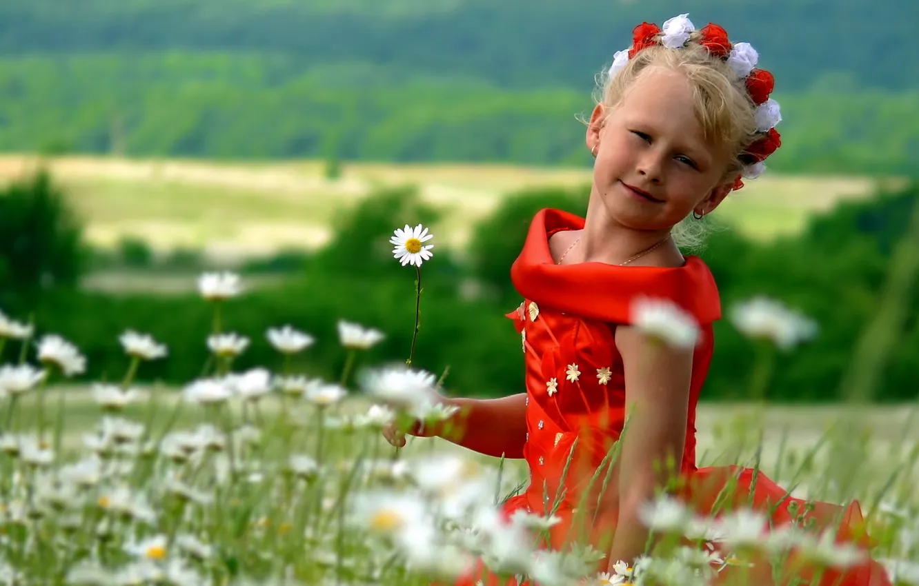 Photo wallpaper field, summer, girl
