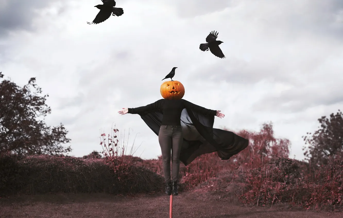 Photo wallpaper girl, birds, pumpkin