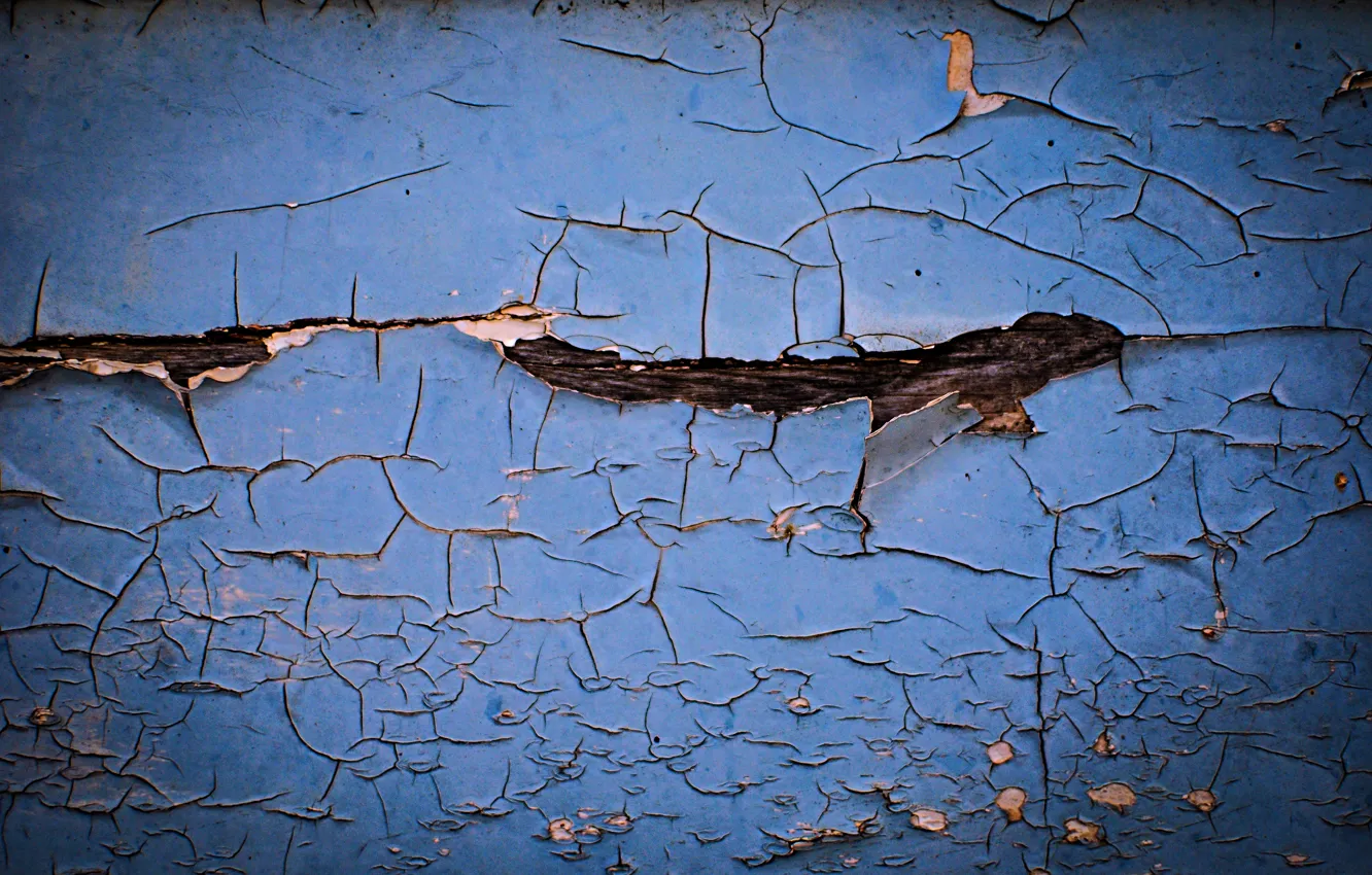 Photo wallpaper cracked, tree, paint, color