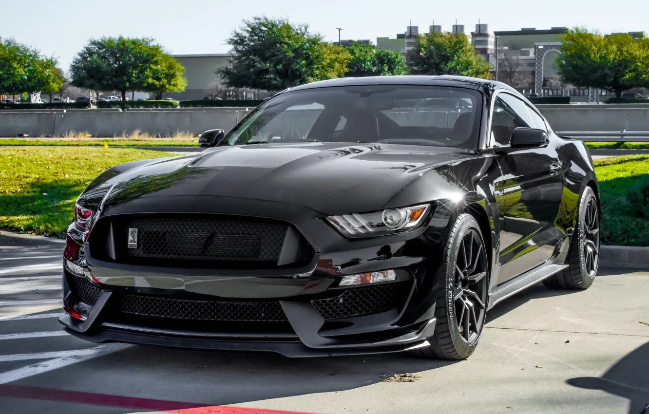 Photo wallpaper Mustang, Ford, Shelby, Black, GT350