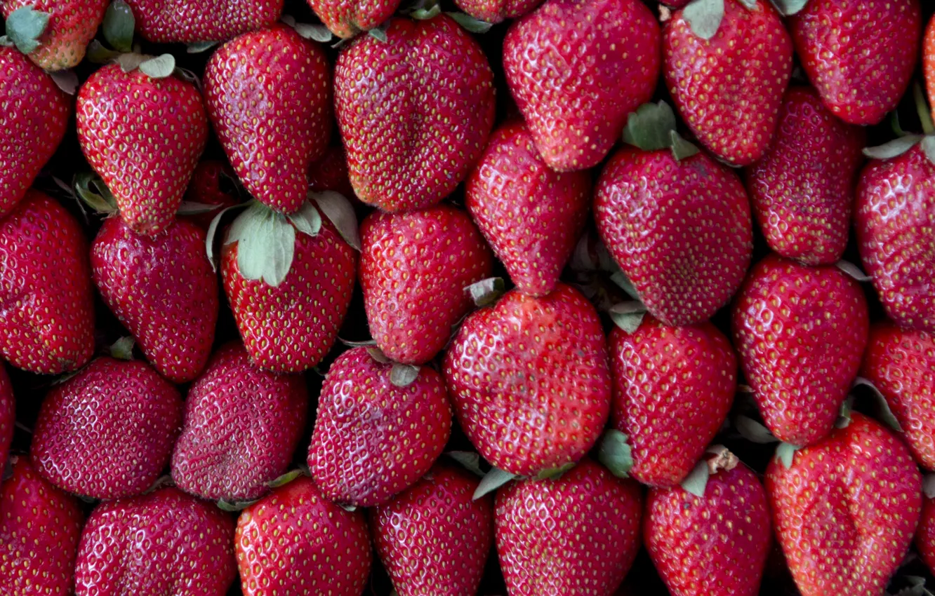 Photo wallpaper berries, strawberry, red, fresh, ripe, sweet, strawberry, berries