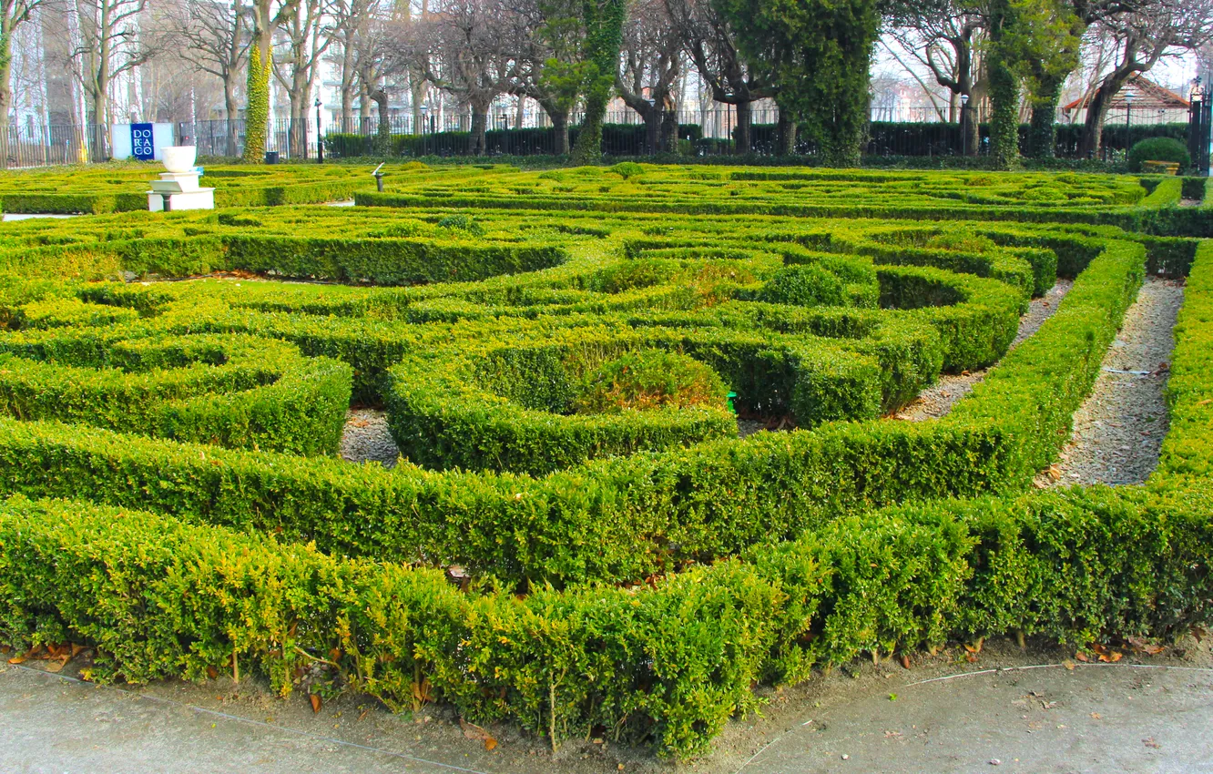 Photo wallpaper park, garden, plant, Hedge