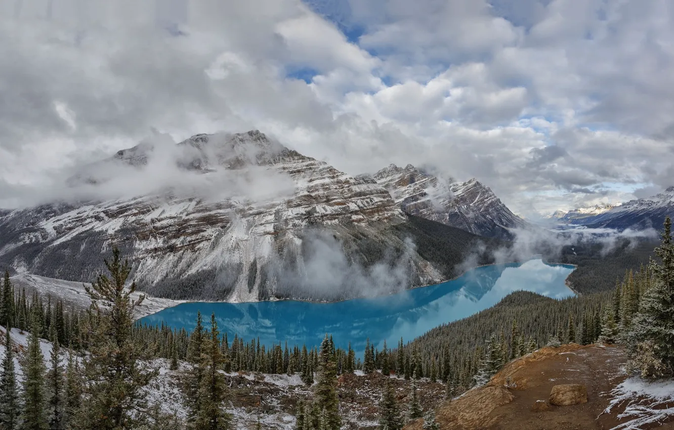 Photo wallpaper mountains, nature, Banff National Park, Alberta, Canada, Peyto Lake