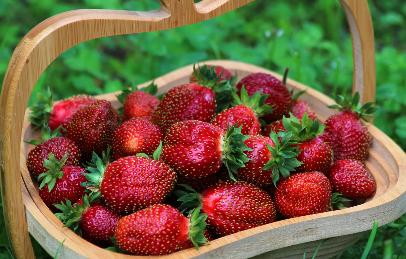 Photo wallpaper summer, nature, berries, beauty, strawberry, vitamins, delicious, cottage
