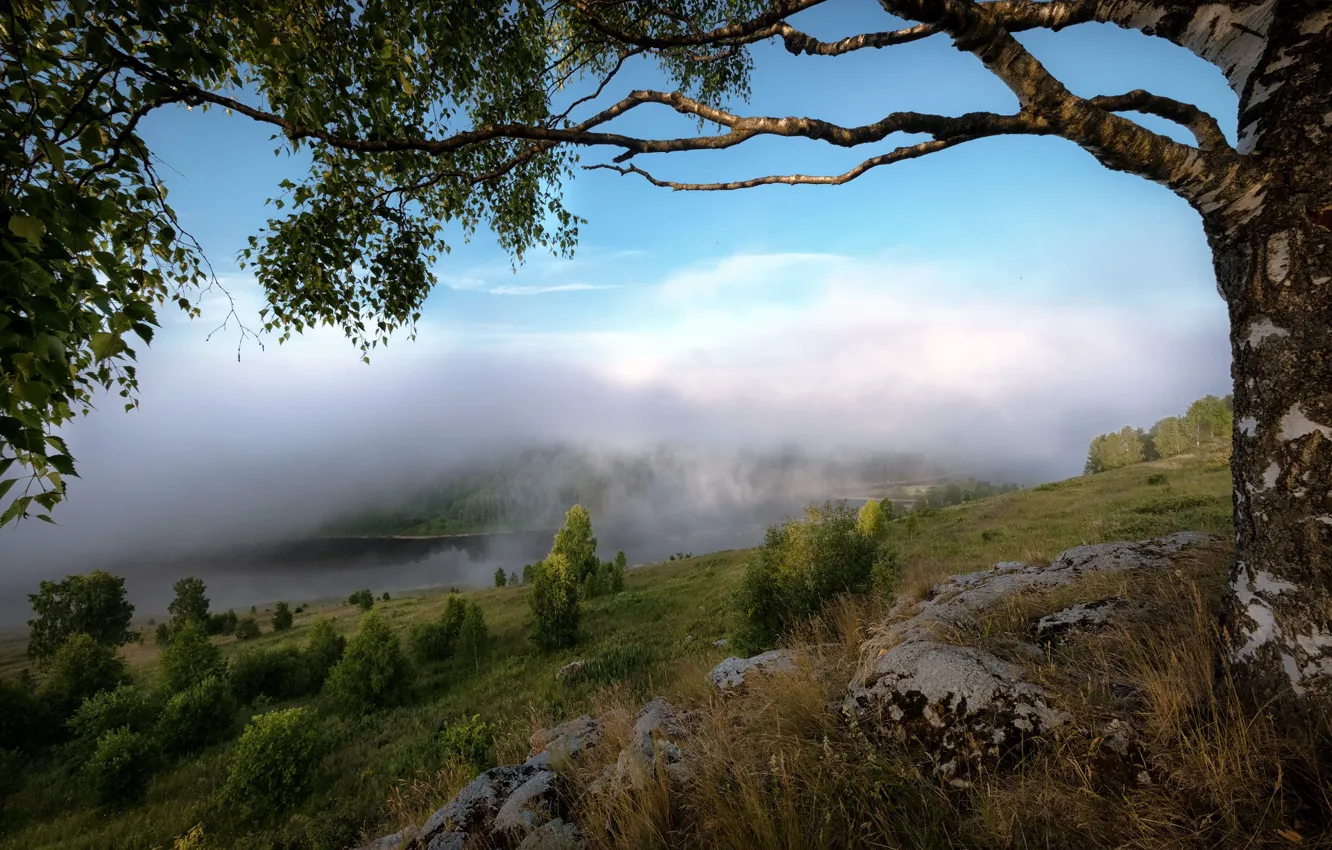 Photo wallpaper clouds, trees, landscape, nature, fog, river, stones, slope