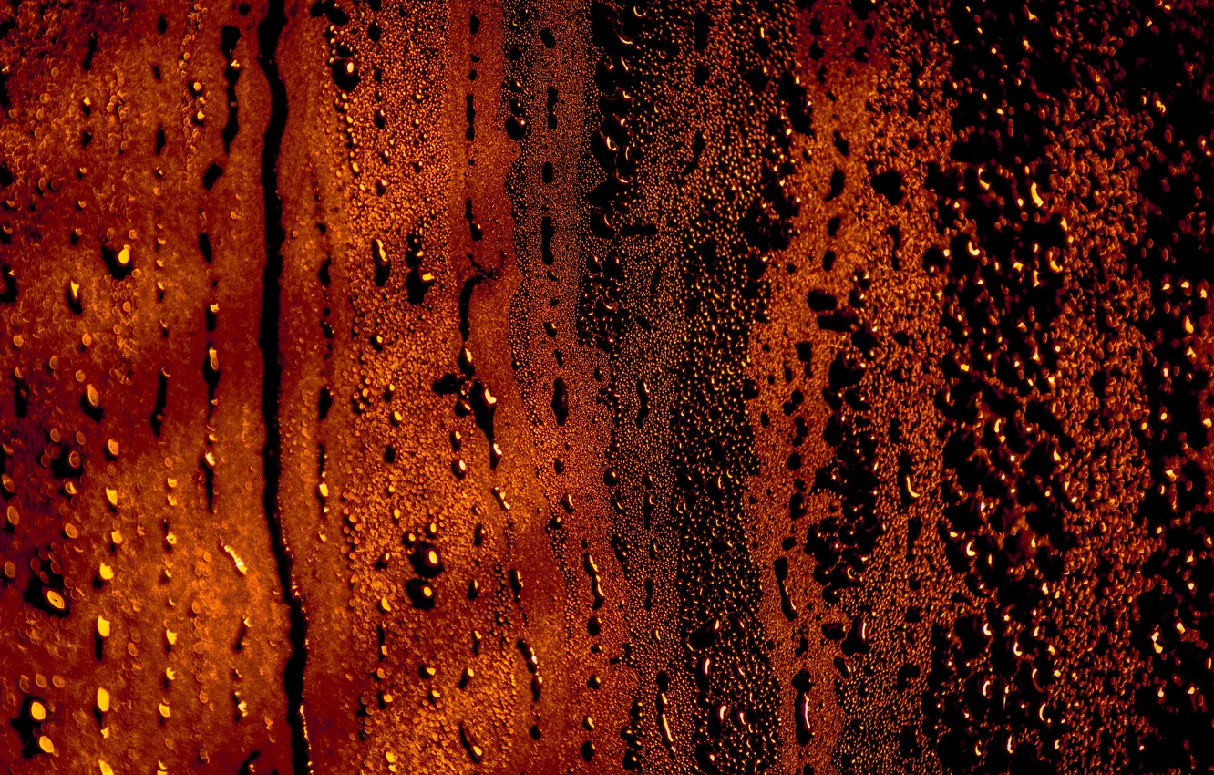 Photo wallpaper glass, wet, rain, photography, the, steam, drop, water