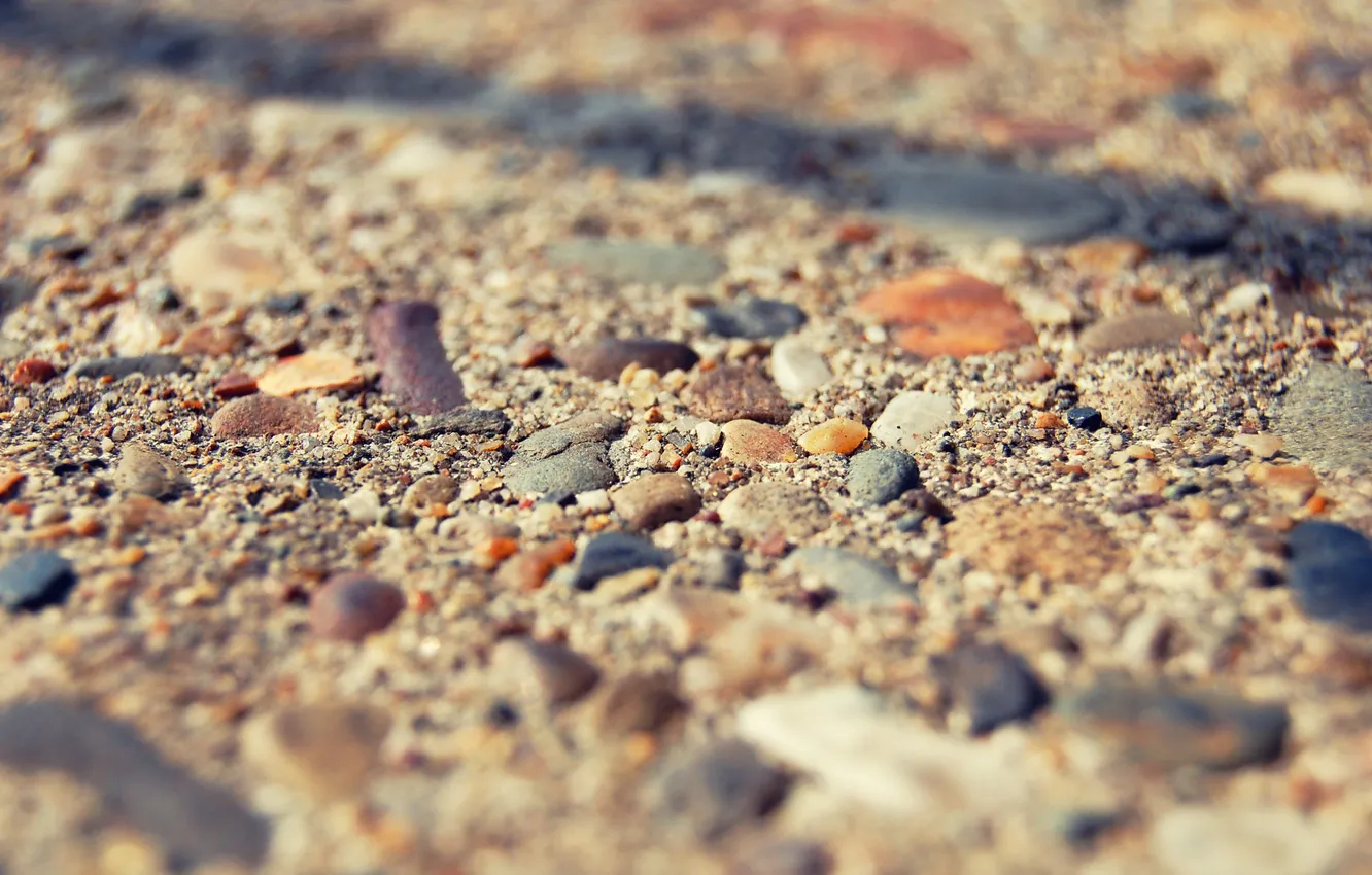 Photo wallpaper macro, stones, shore