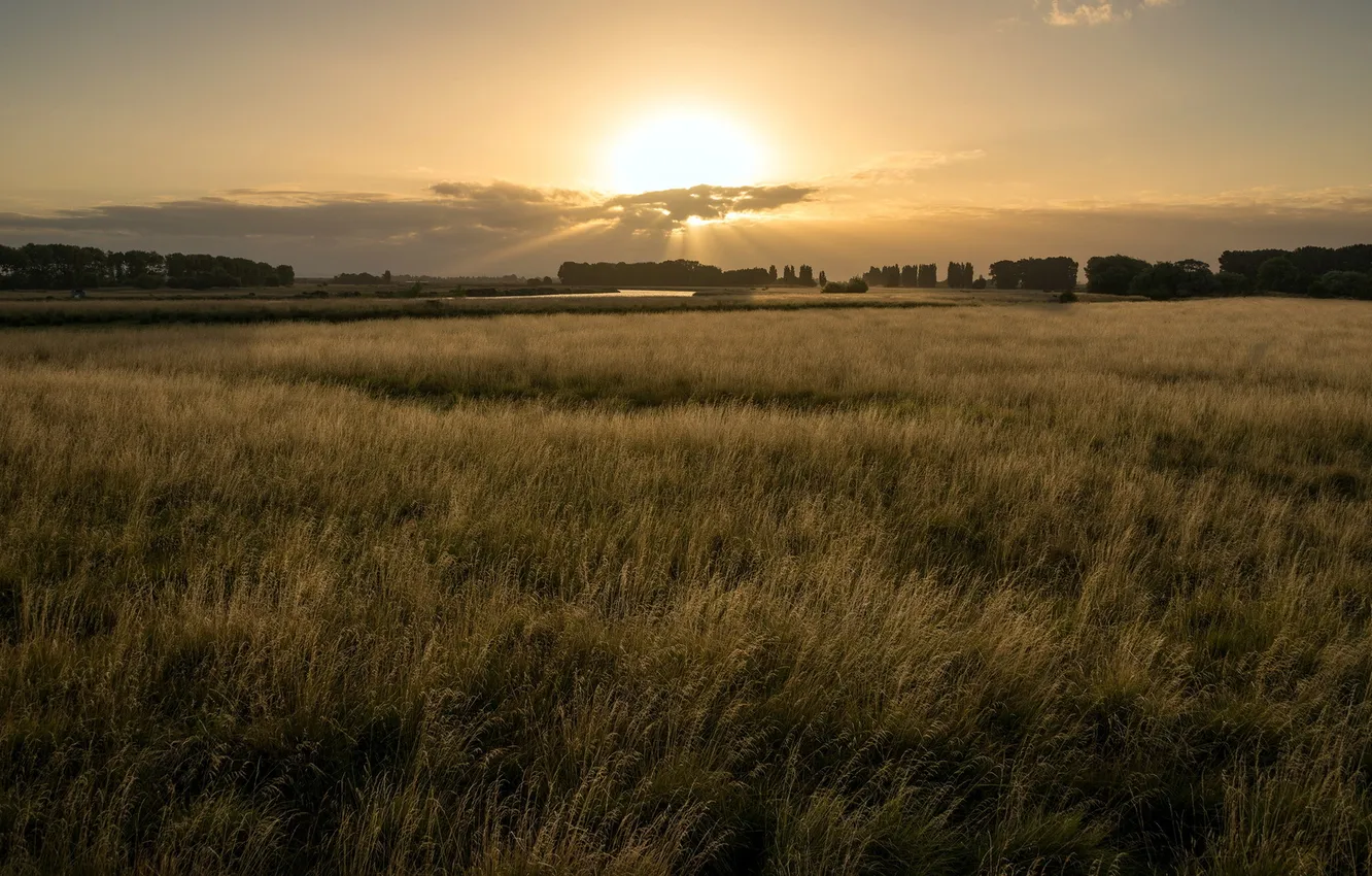 Photo wallpaper field, the sky, landscape