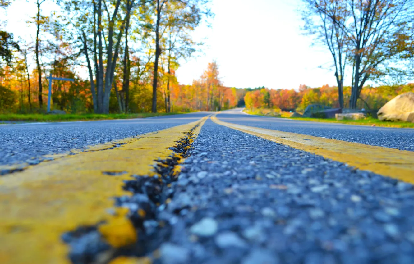 Photo wallpaper road, asphalt, trees, markup