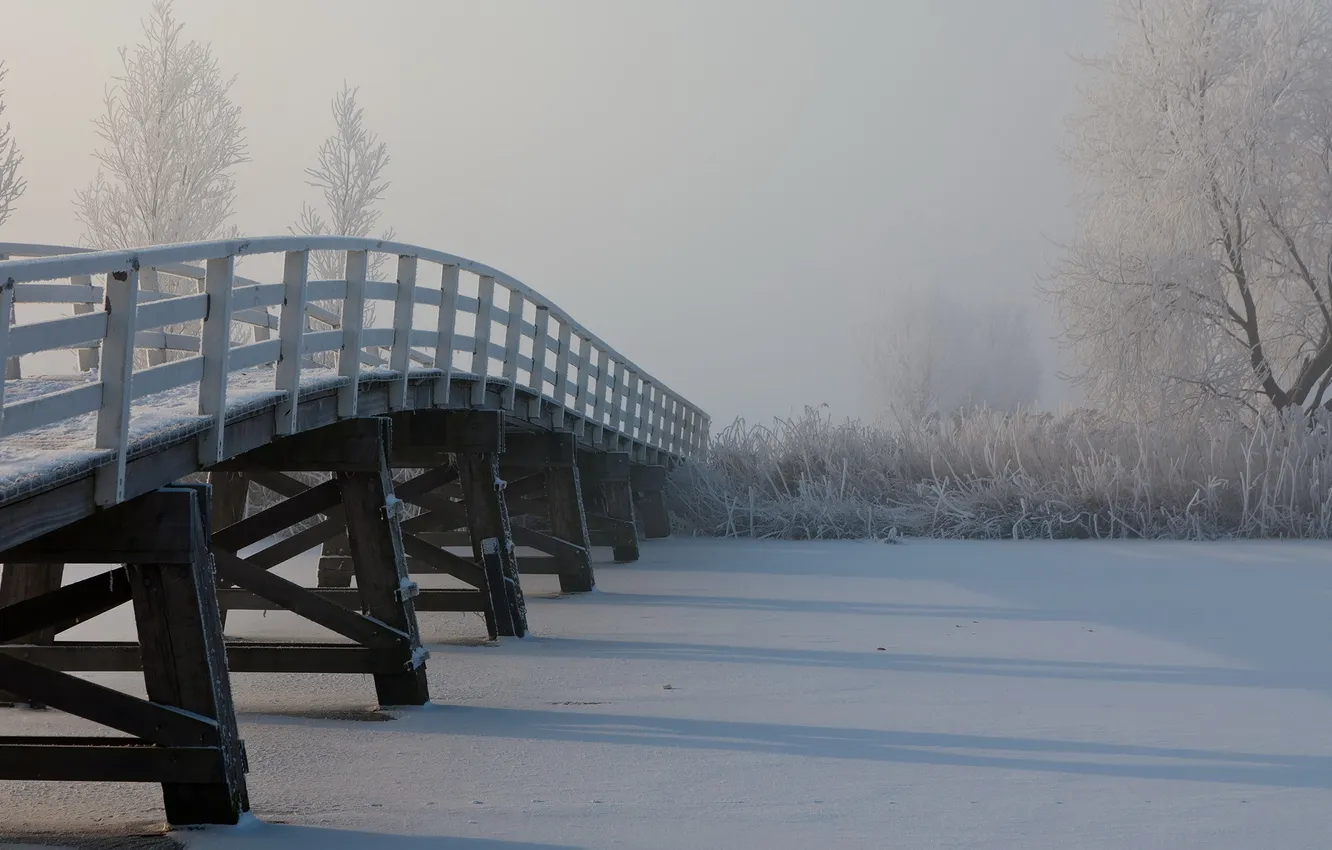 Photo wallpaper winter, snow, bridge, fog, river