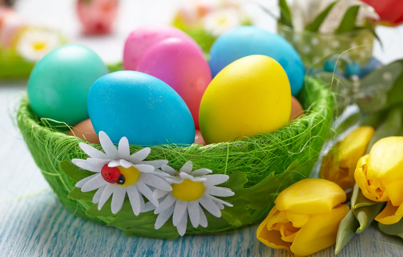 Photo wallpaper flowers, eggs, Easter, tulips, Easter eggs