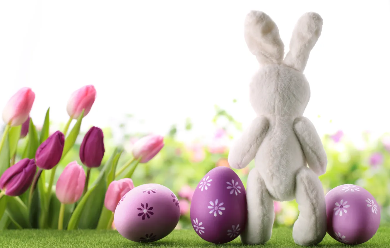 Photo wallpaper flowers, eggs, spring, rabbit, Easter, tulips, flowers, tulips