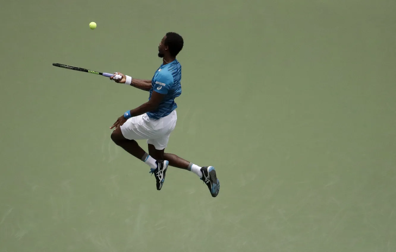 Photo wallpaper Gwynedd, Monfils, Gael Monfils