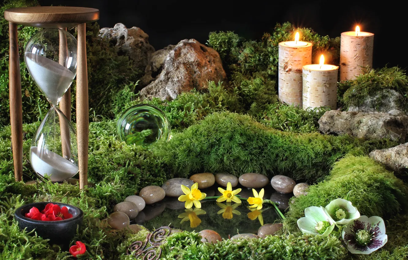 Photo wallpaper stones, watch, moss, candles, daffodils, hellebore, heleborus