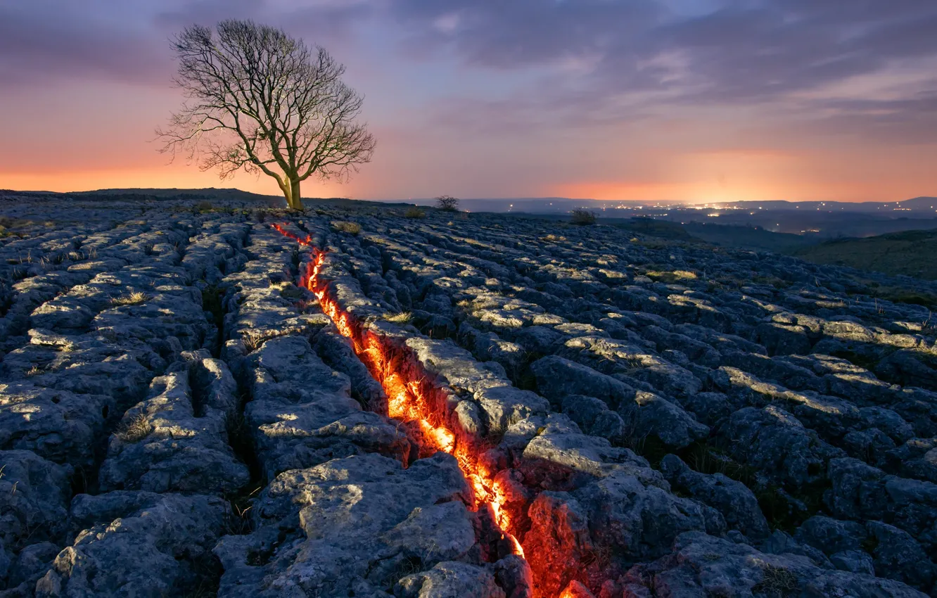 Photo wallpaper field, trees, arable land