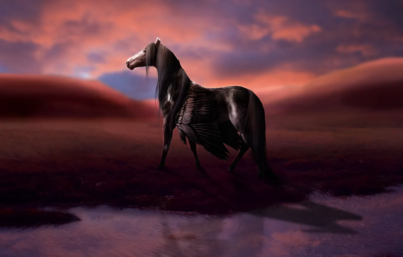 Photo wallpaper the sky, water, clouds, reflection, rendering, horse, wings, Pegasus