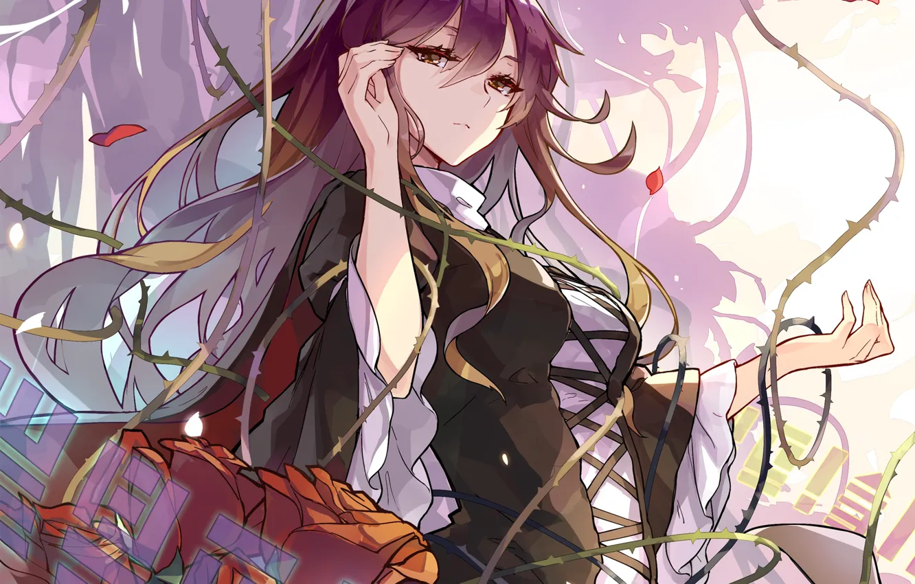 Photo wallpaper look, girl, touhou, Touhou, barbed vine