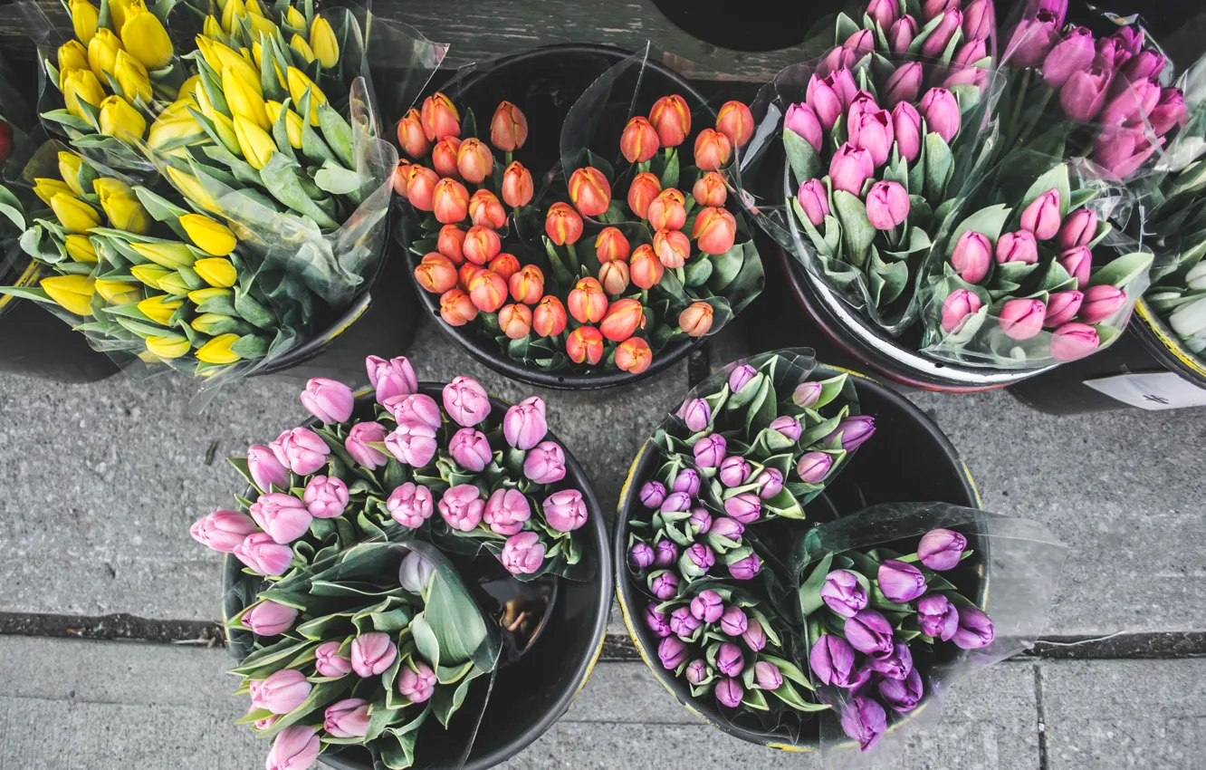 Photo wallpaper flowers, street, tulips