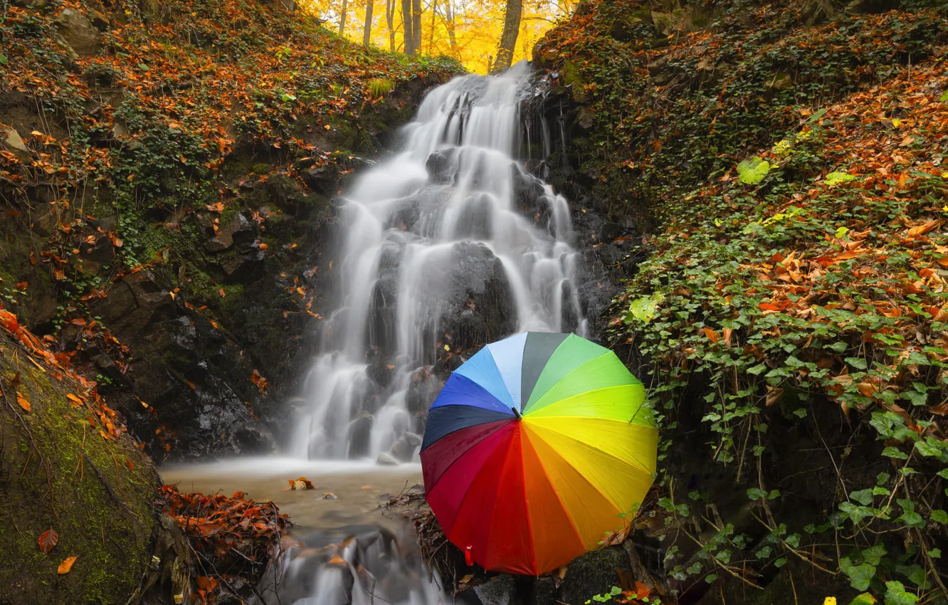 Photo wallpaper autumn, forest, stones, rocks, shore, waterfall, rainbow, stream