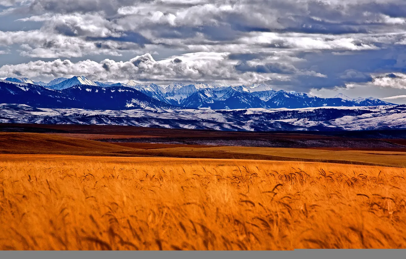 Photo wallpaper field, the sky, clouds, snow, mountains, ears