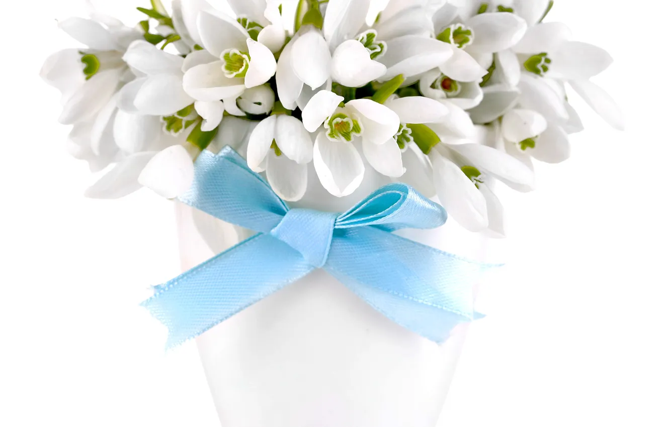 Photo wallpaper bouquet, snowdrops, white, flowers, spring, delicate, Snowdrops