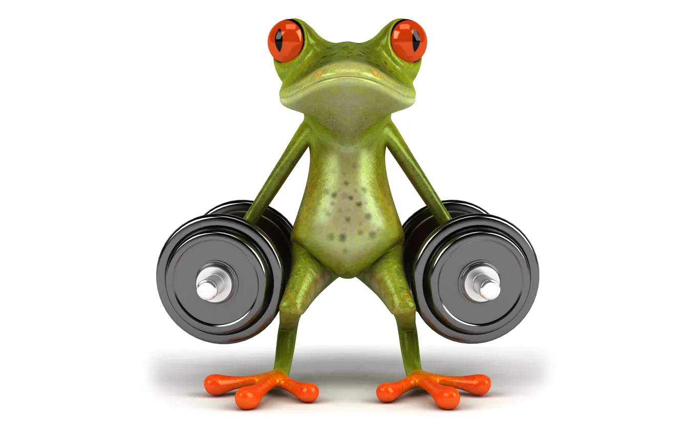 Photo wallpaper sport, graphics, frog, dumbbell, free frog