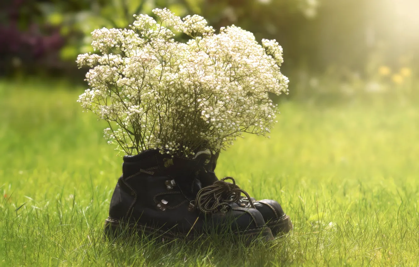 Photo wallpaper grass, field, flowers, boots, sunny