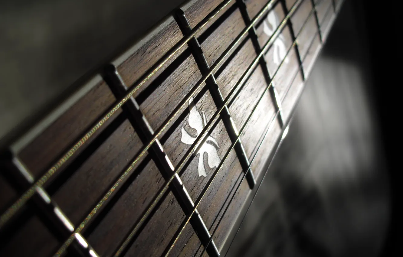 Photo wallpaper macro, strings, Guitar, Frets, Grif