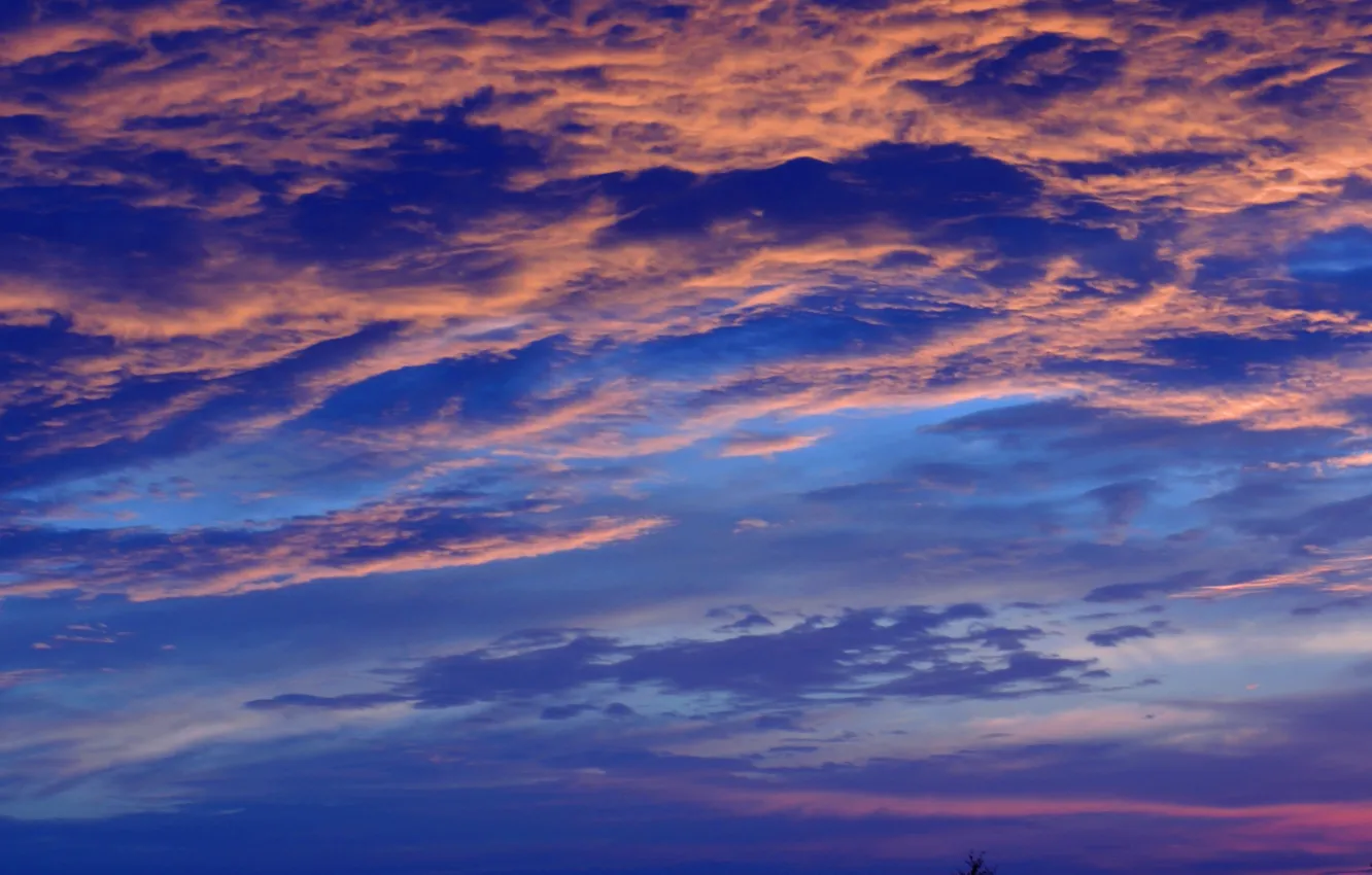 Photo wallpaper summer, clouds, background, the evening, saver, dawn