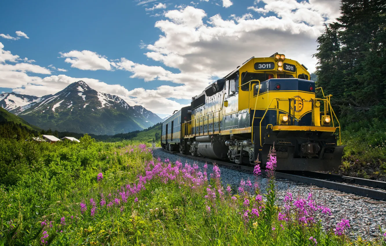 Photo wallpaper Mountains, Grass, Train, Railroad, Bulgaria, Bulgaria, Railroad, Istanbul-Sofia