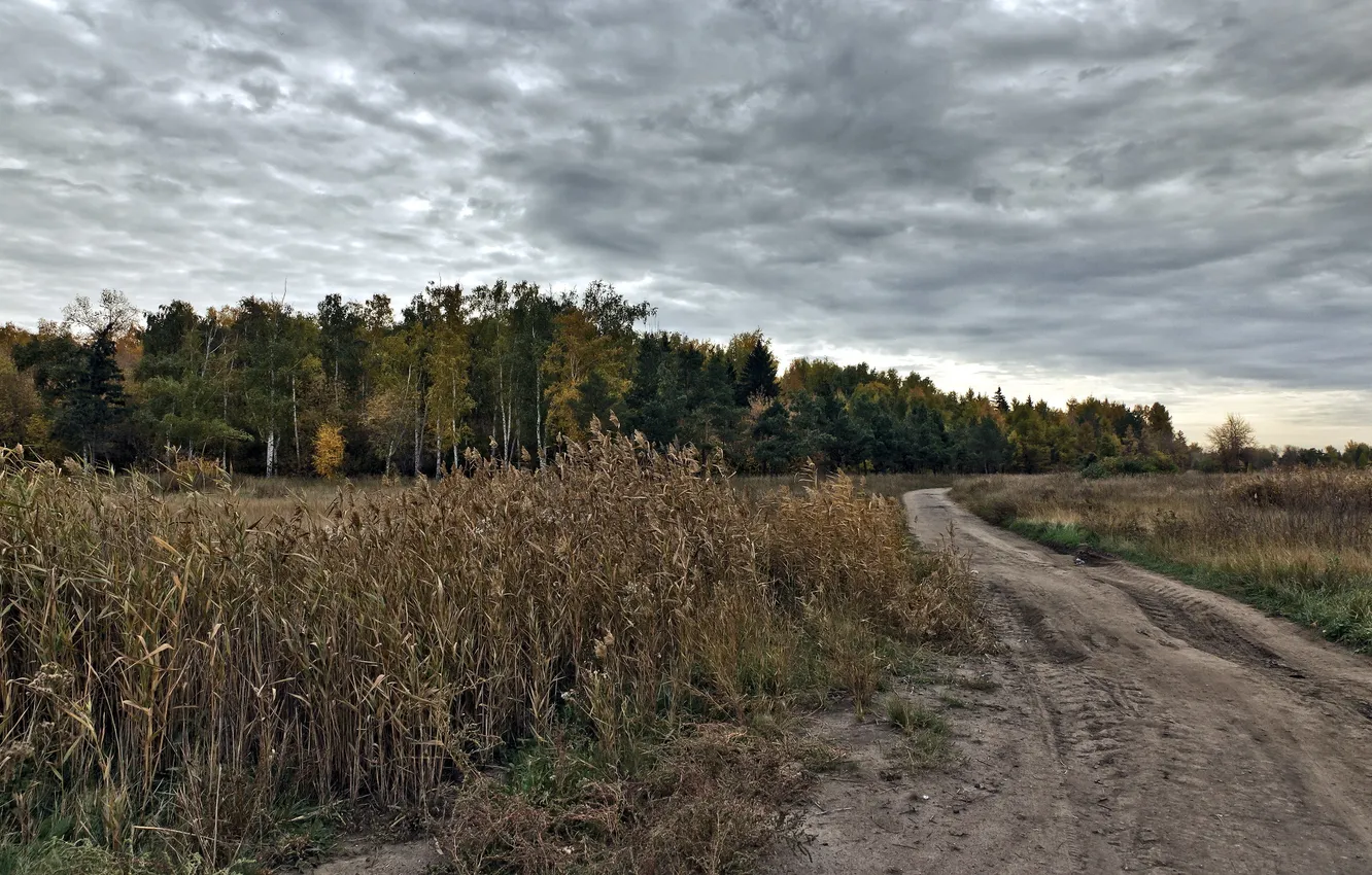 Photo wallpaper road, field, autumn