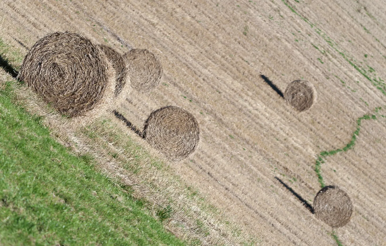 Photo wallpaper field, nature, hay