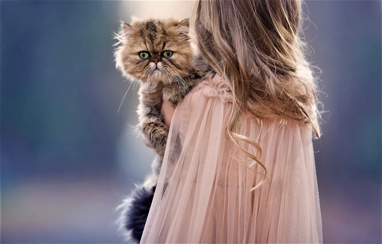 Photo wallpaper cat, hair, girl, curls, Meg Bitton