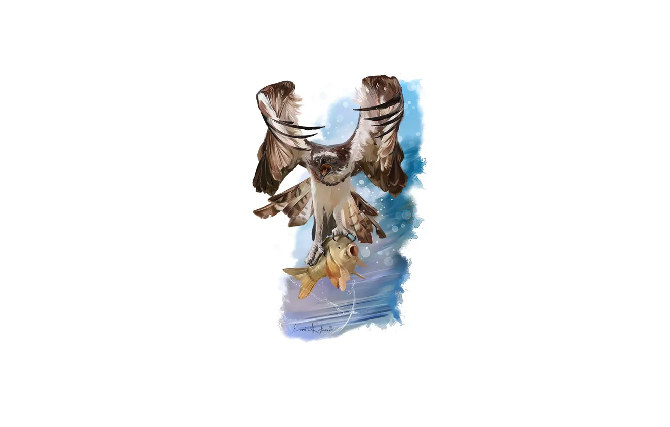 Photo wallpaper bird, eagle, fish, predator