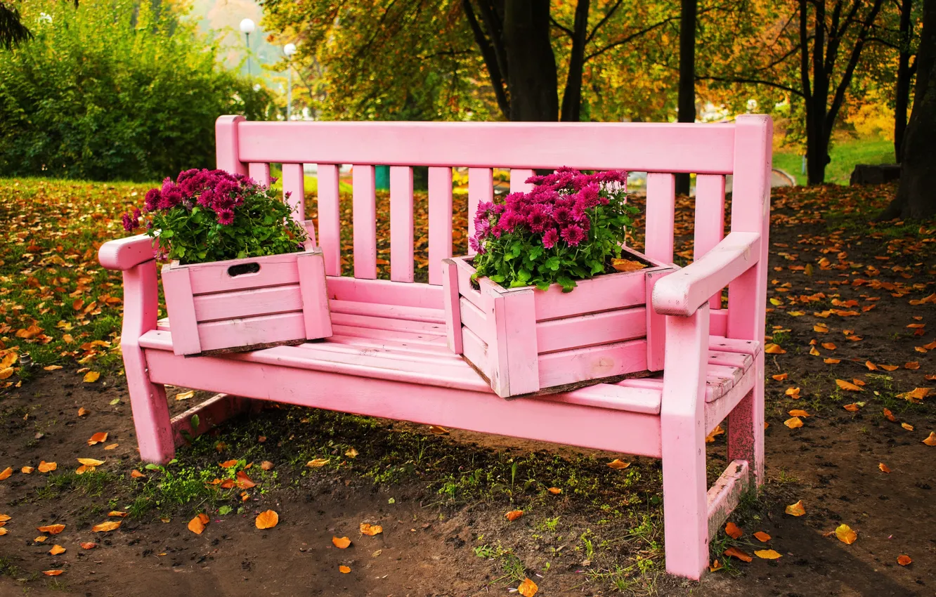 Photo wallpaper autumn, leaves, trees, flowers, bench, Park, colorful, landscape